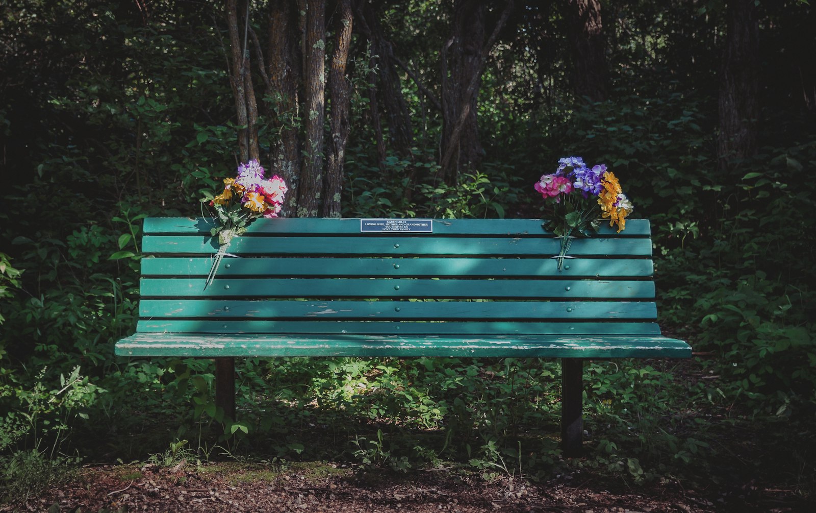 A welcoming bench surrounded by plants
