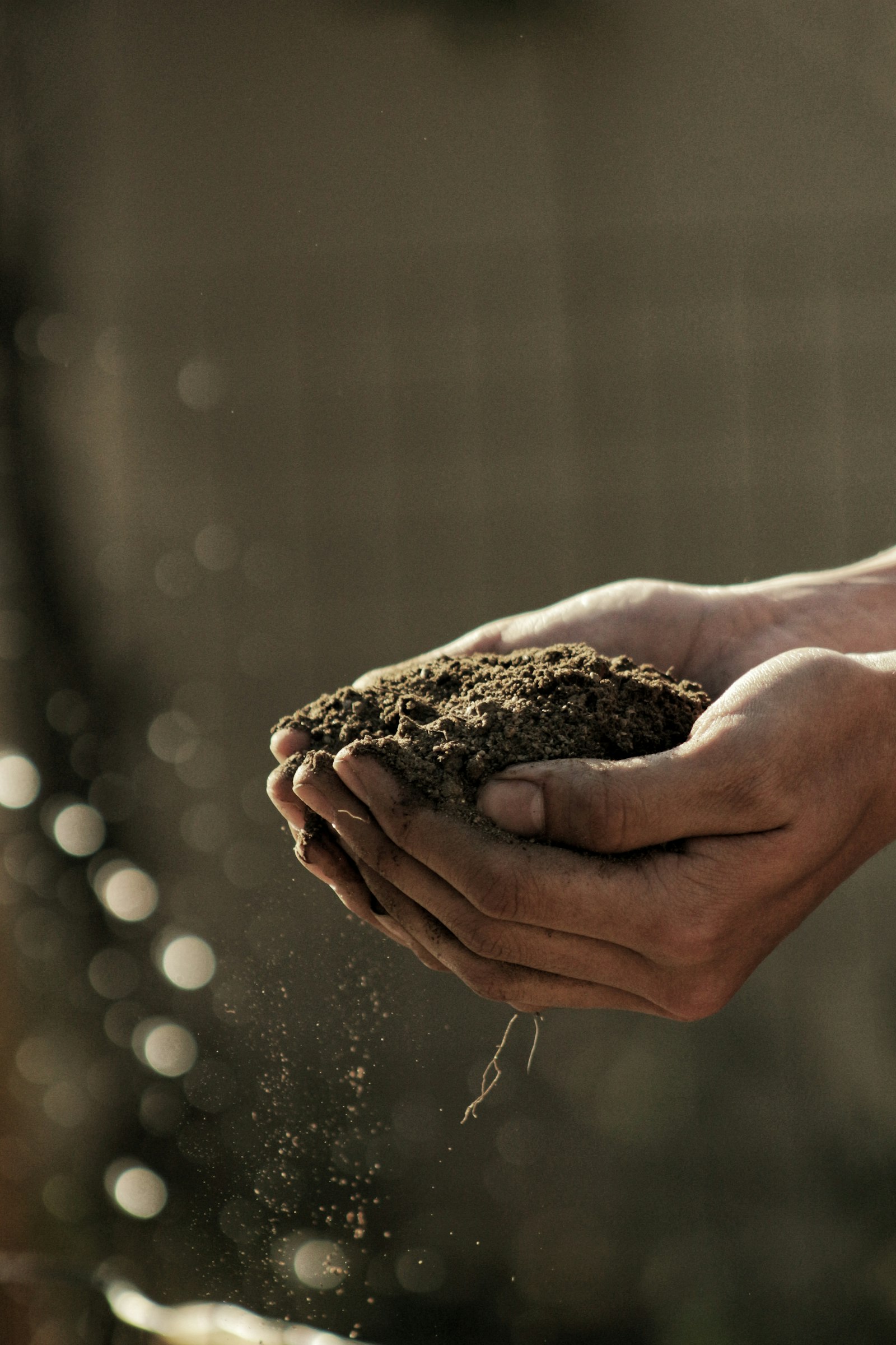 Hands working together in the soil