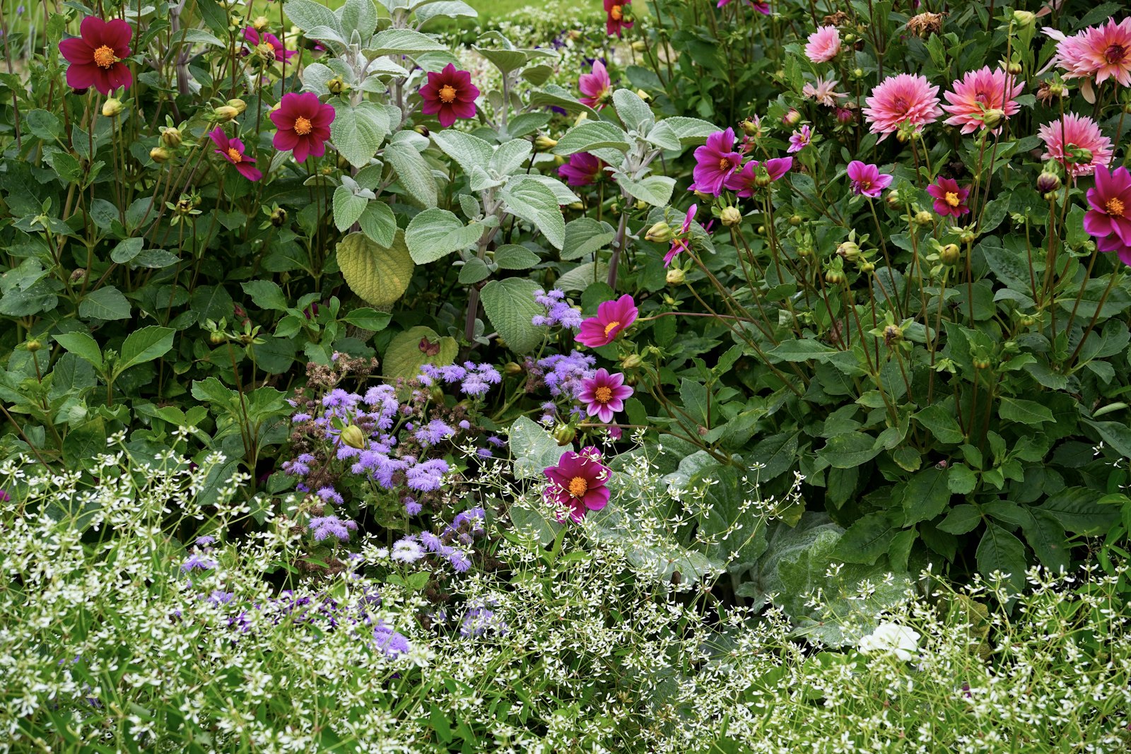A lush little community green space full of flowers and a place to sit